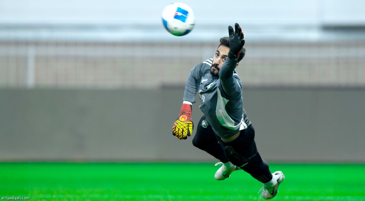 استقبال وتسديد