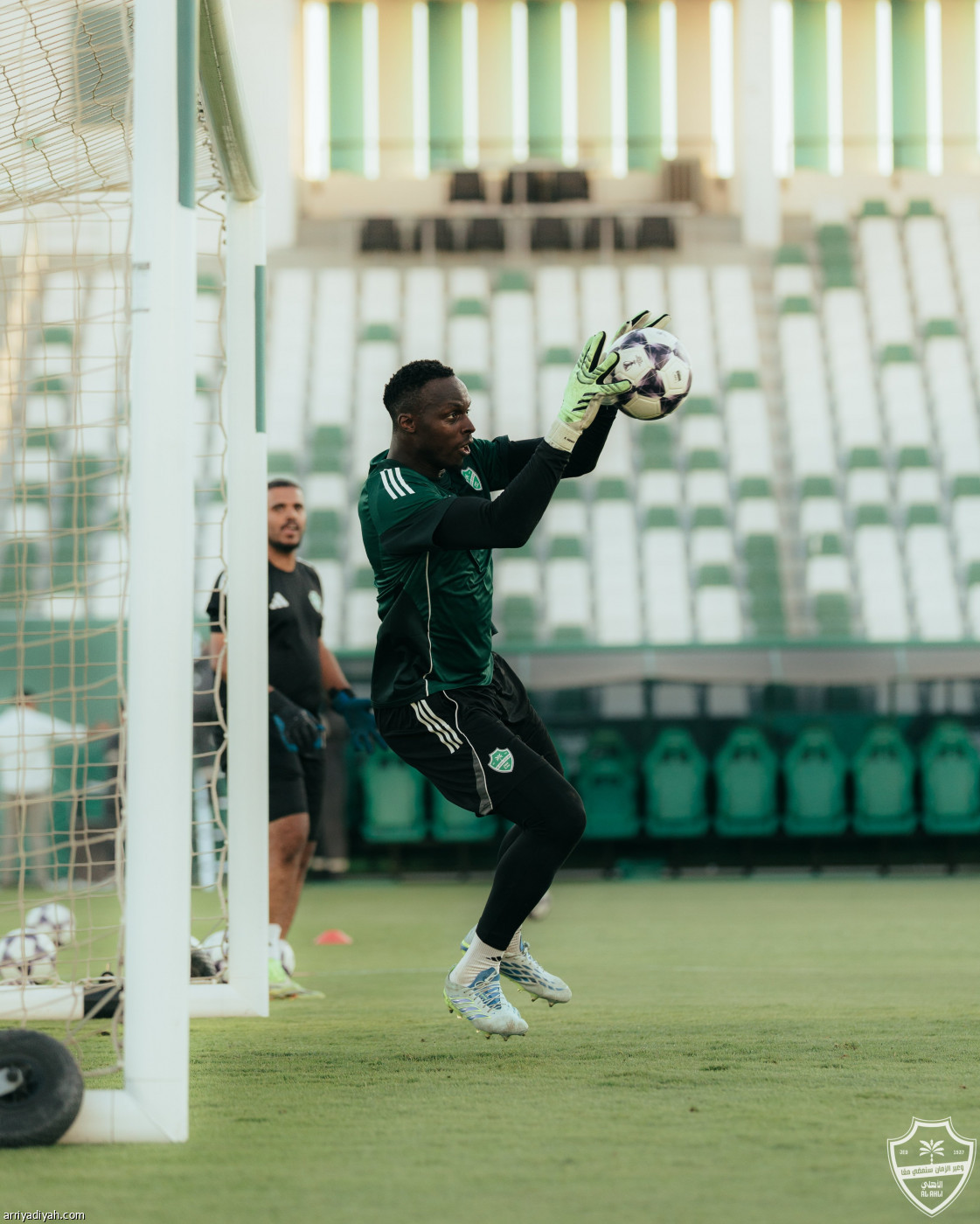 حامل اللقب جاهز