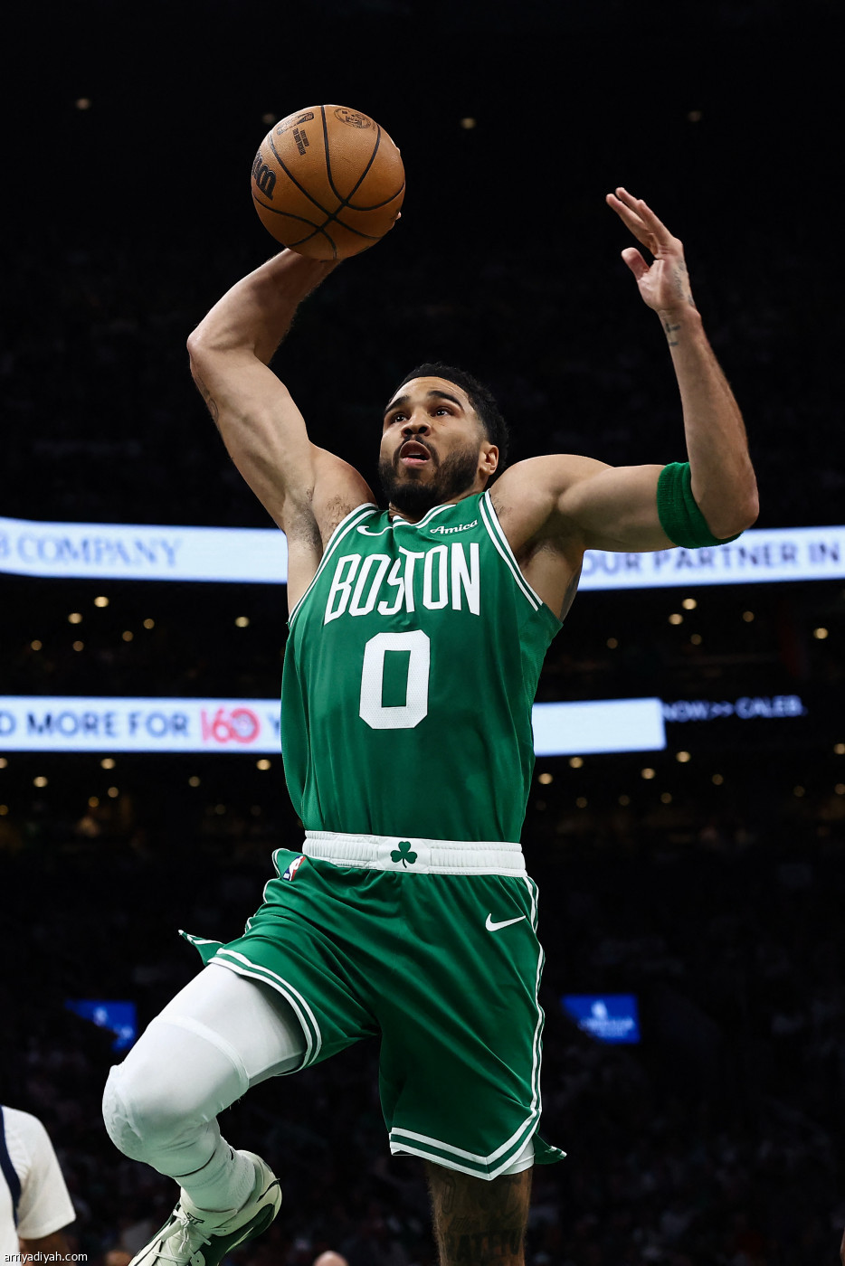 تايتوم يعود