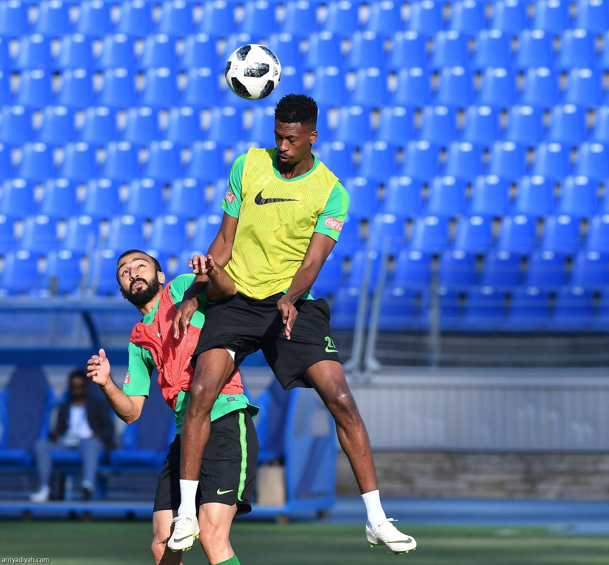 الأخضر  في سان بطرسبرج