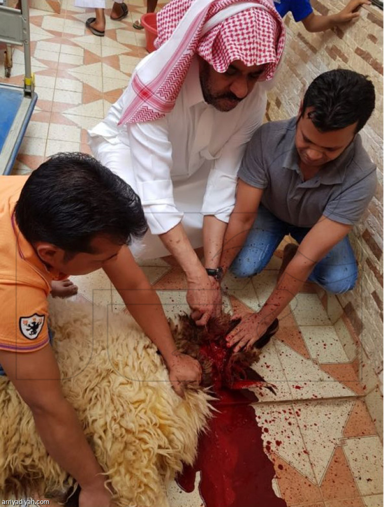 الرياضيون مع الأضاحي