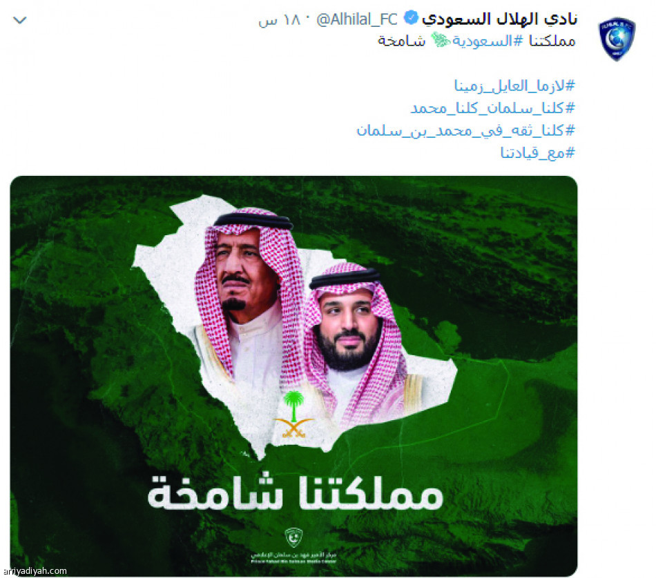 طائر تويتر.. 
صقر أخضر جارح