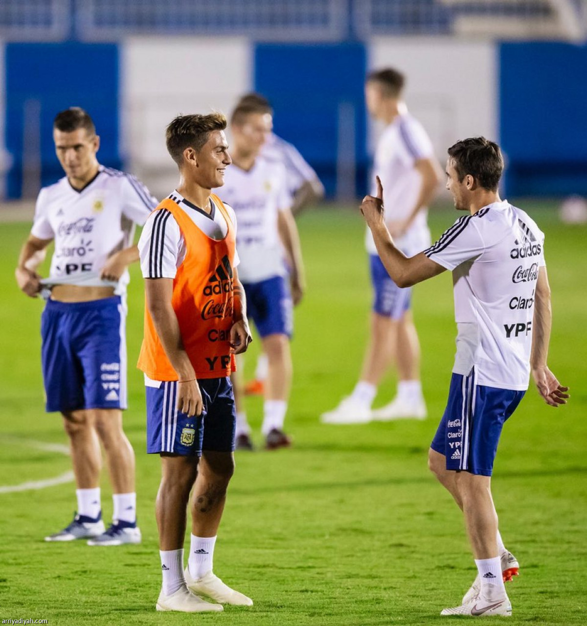 التانجو في الهلال