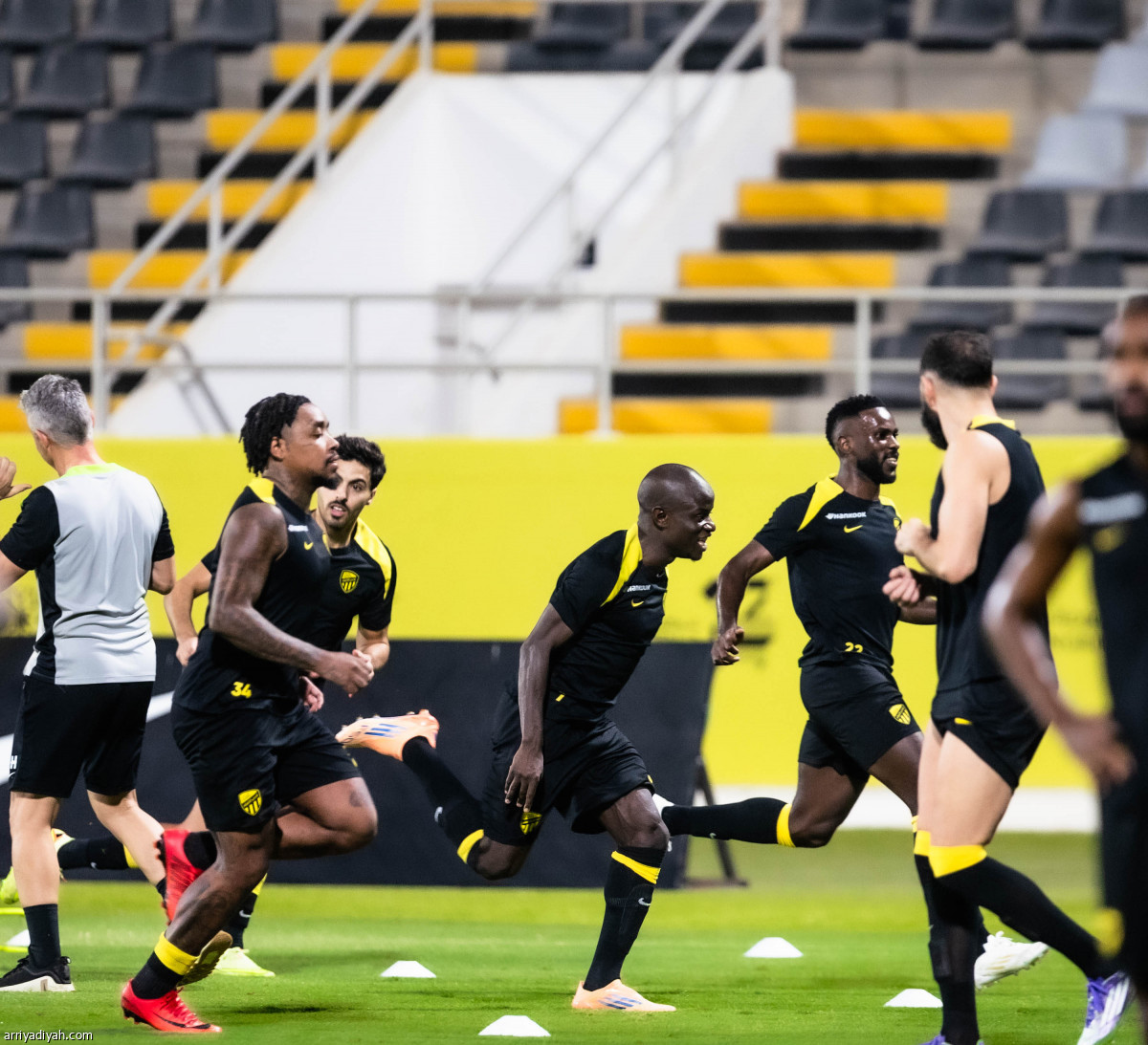 النمور تستعد