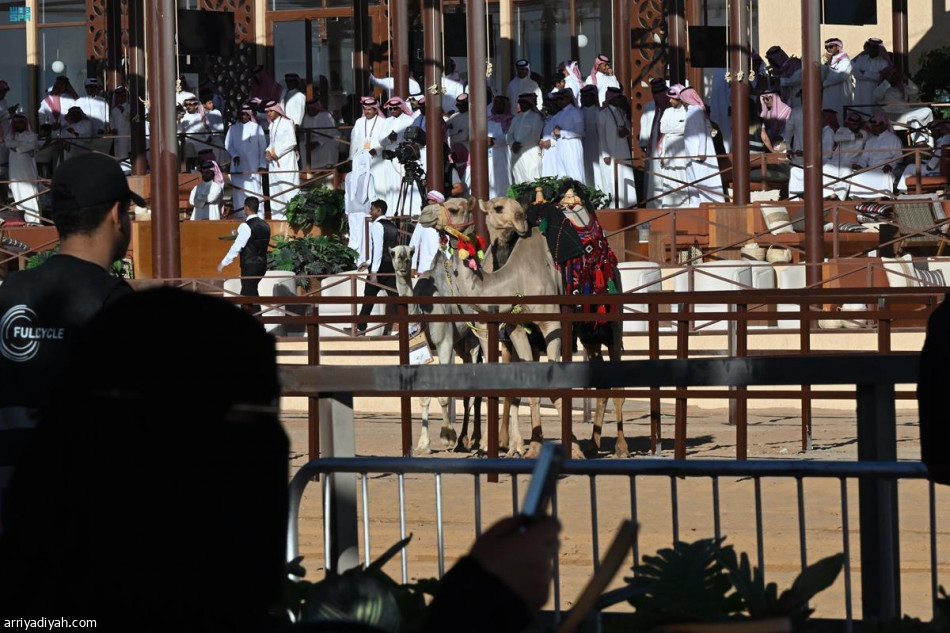 «جادة الإبل».. فوز حمر وشقح ووضح في فئة دق