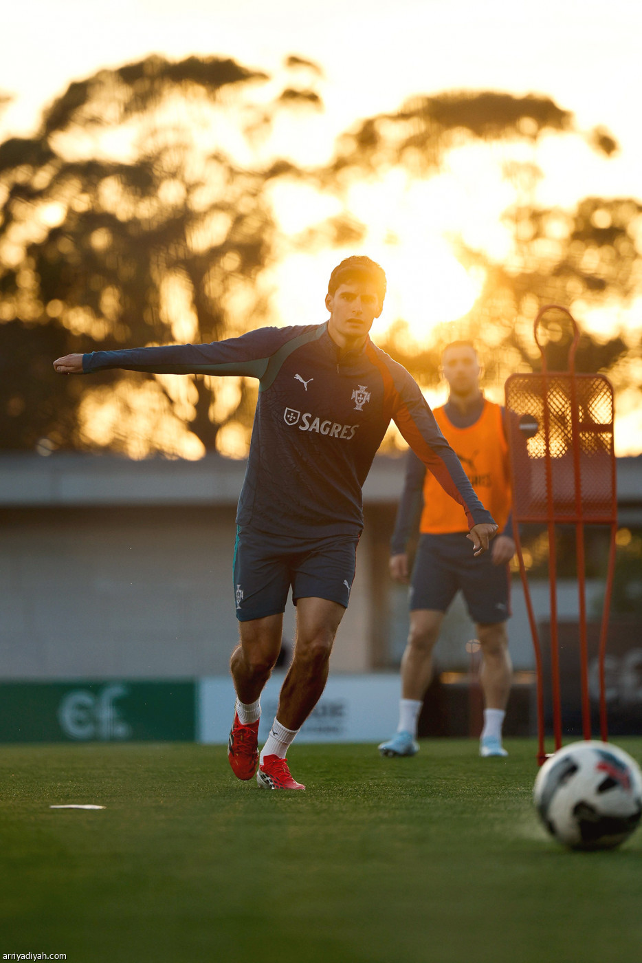 فيليش ونيفيش يستعدان