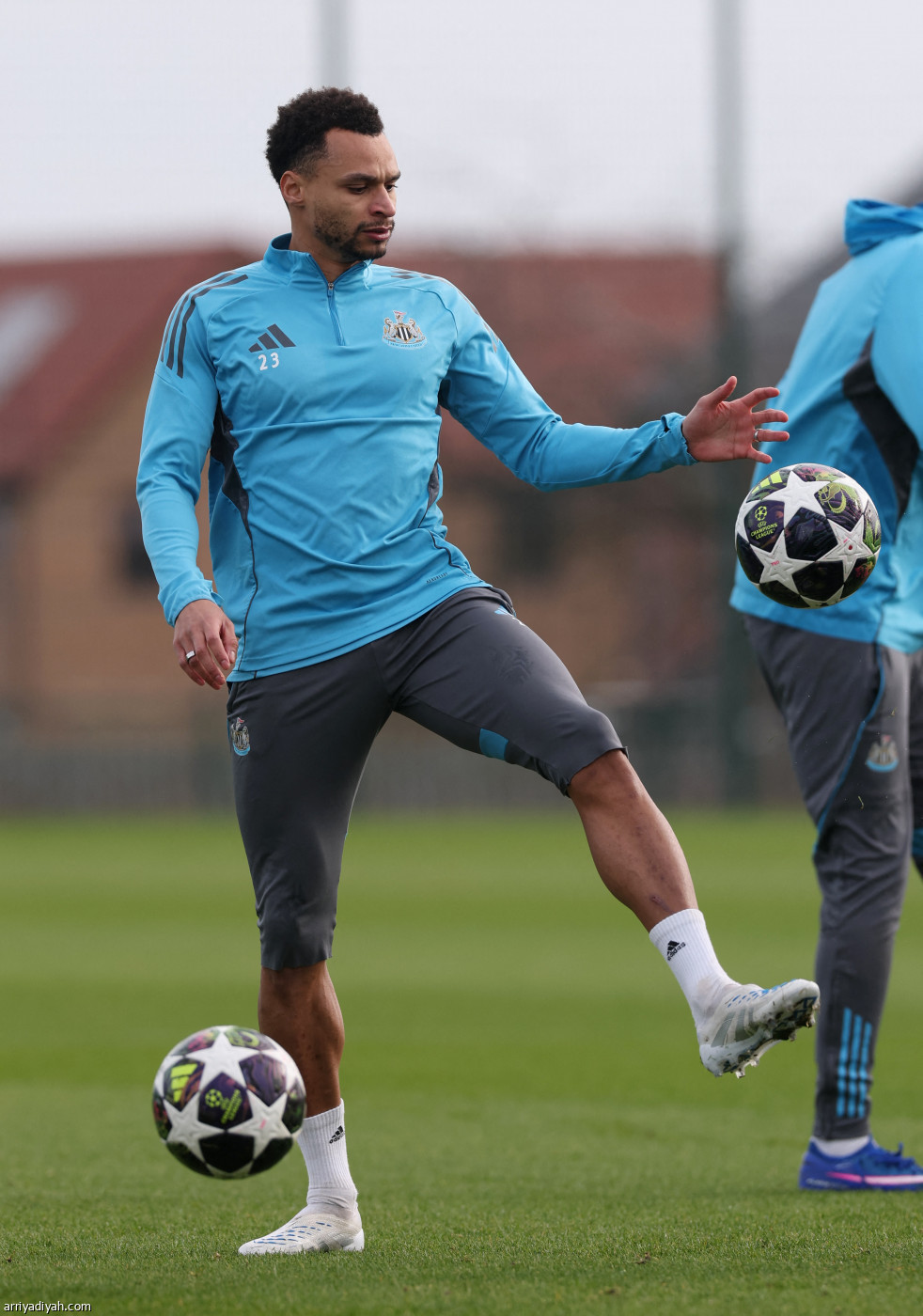 نيوكاسل جاهز