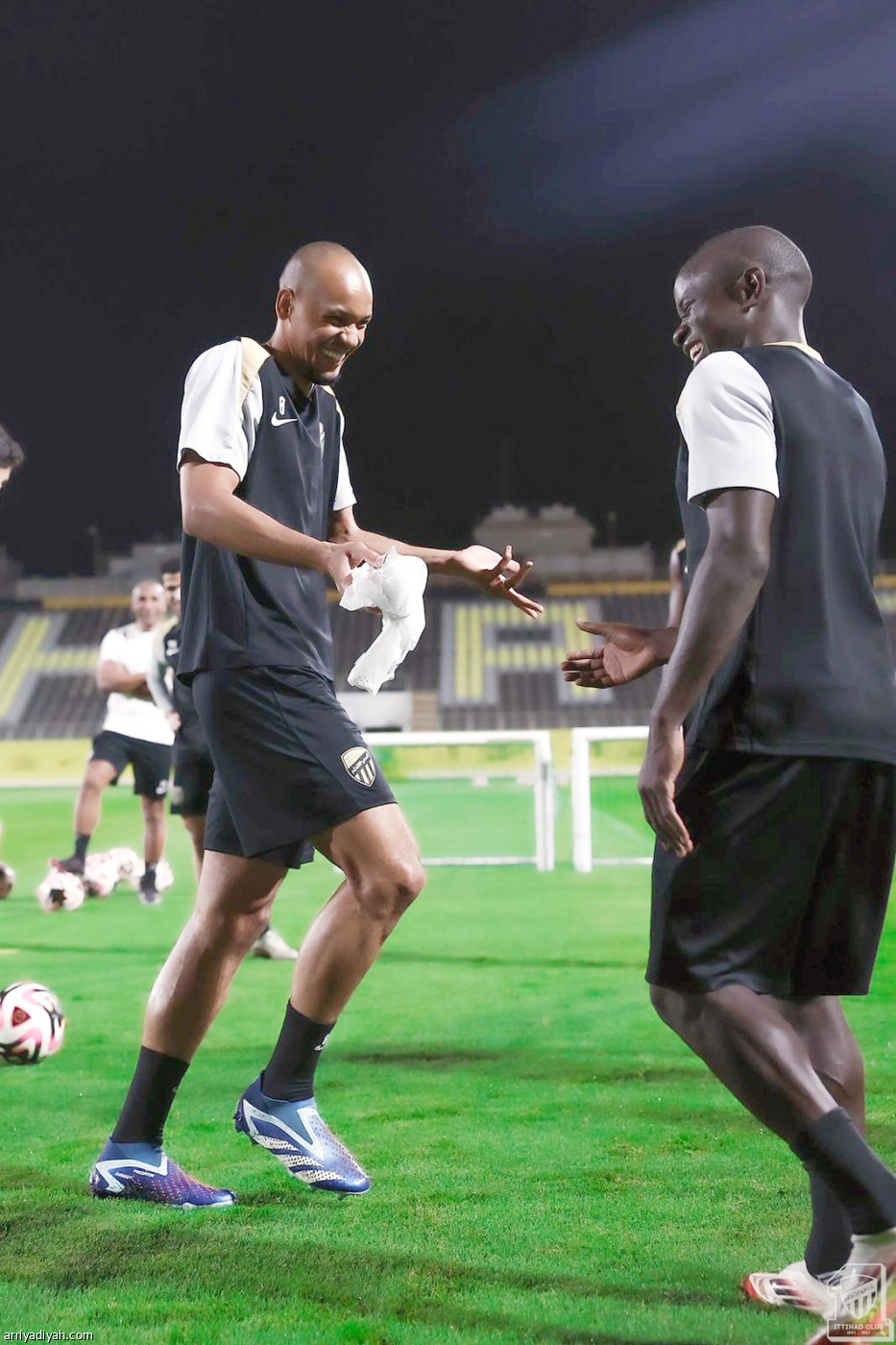 النمور تستعد