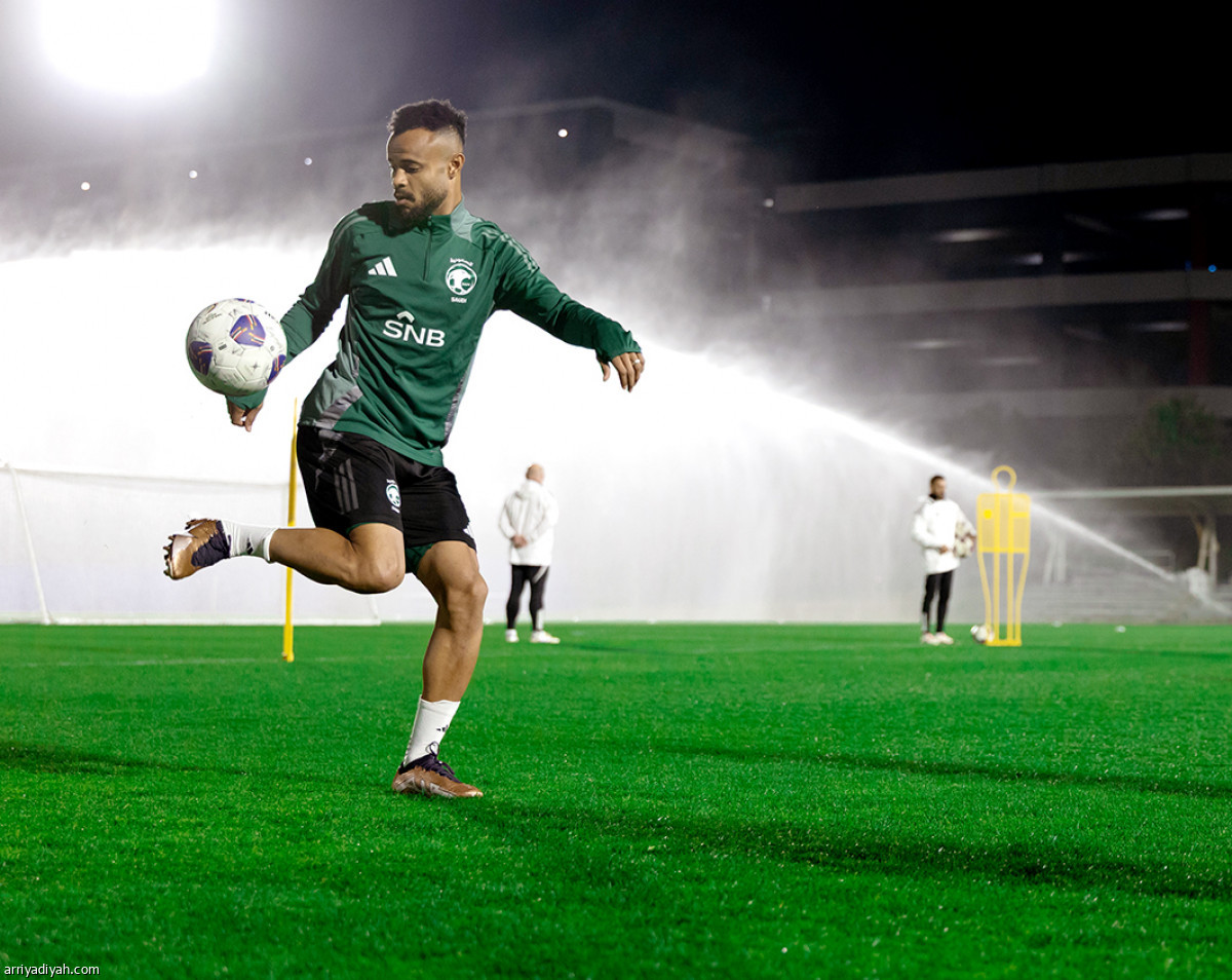 إطلالة الصقور