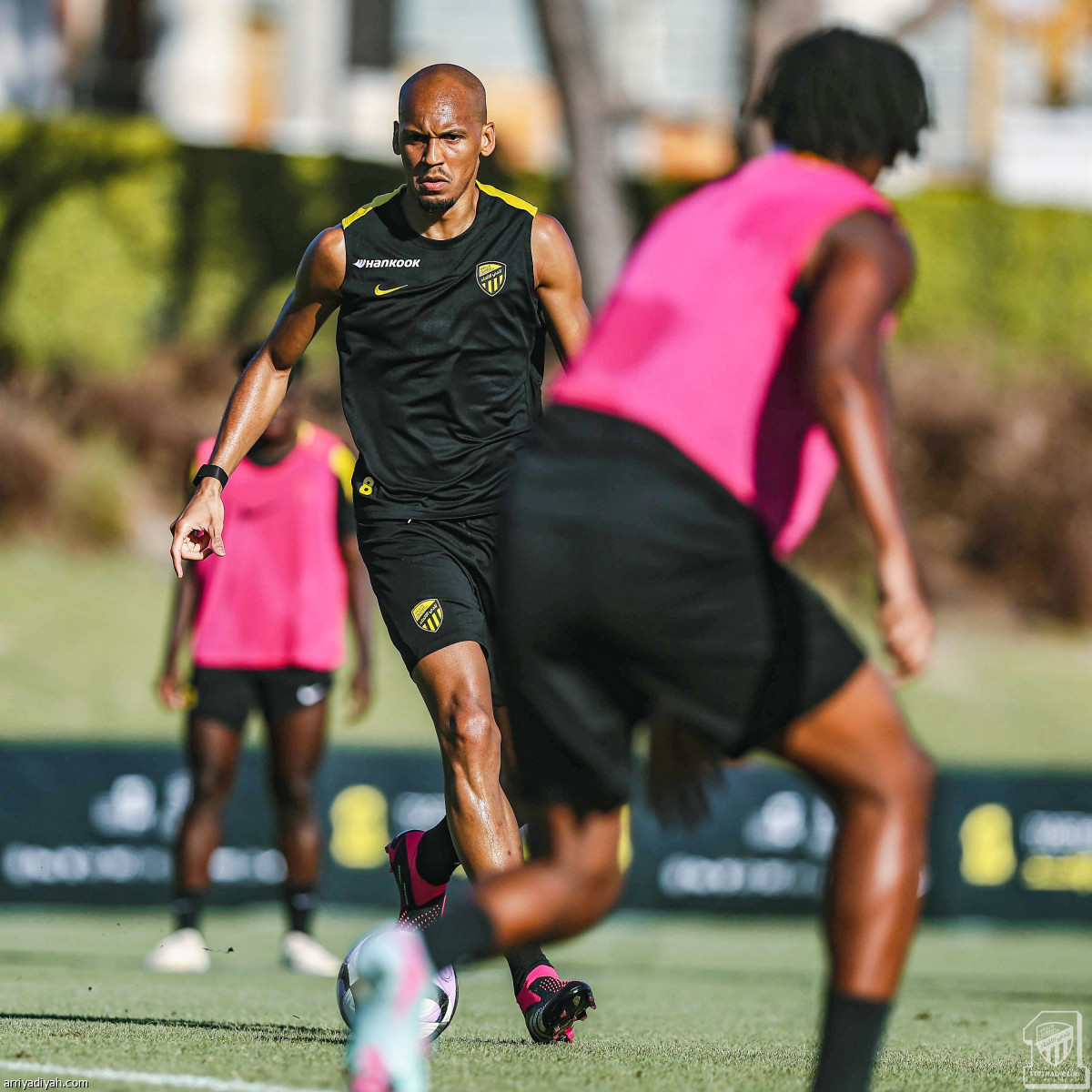 استنفار النمور