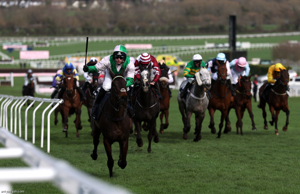 سباق شلتنهام