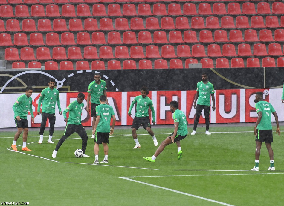 الأخضر جاهز لألمانيا