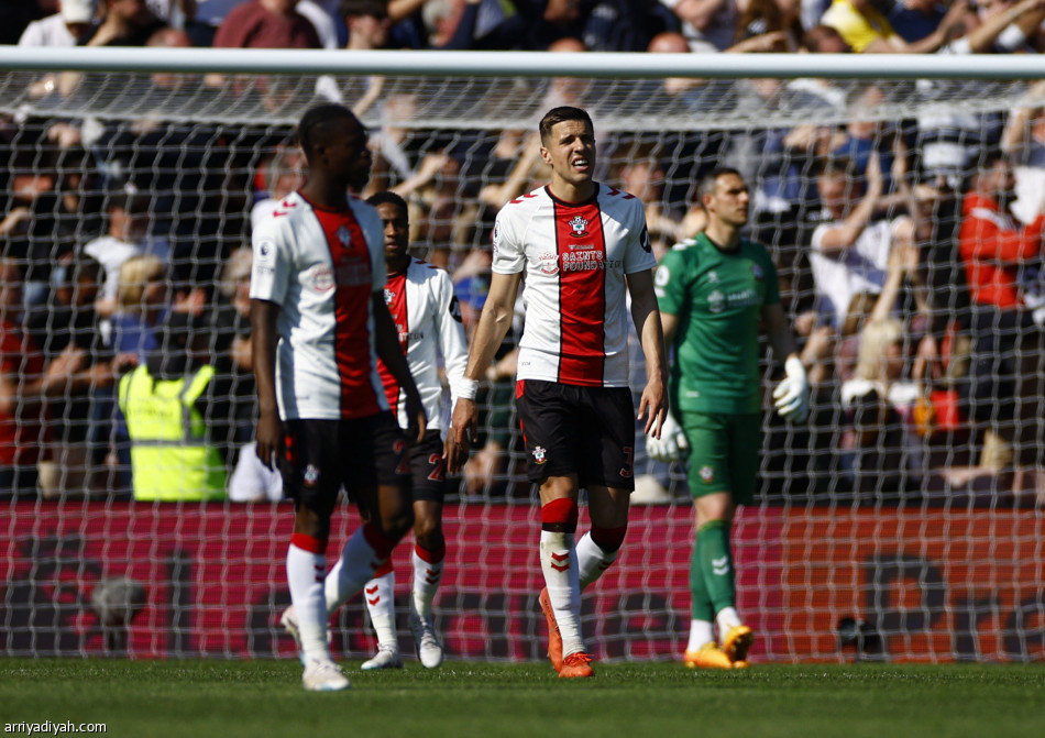 ساوثهامبتون يهبط