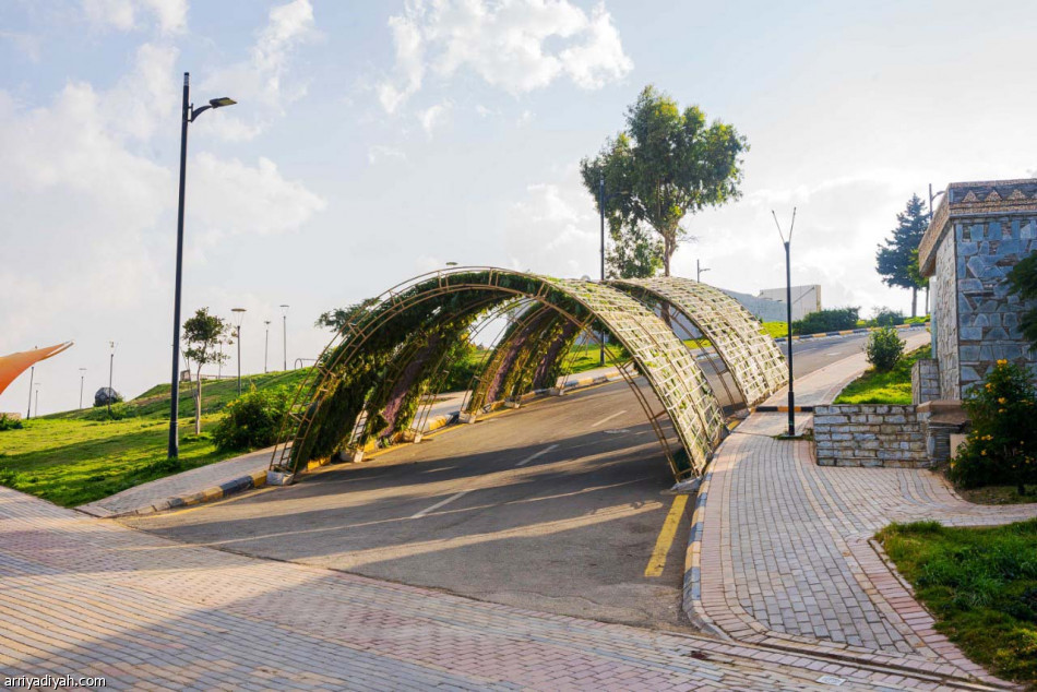 كرة العرب
تصل «حديقة الحجاز»