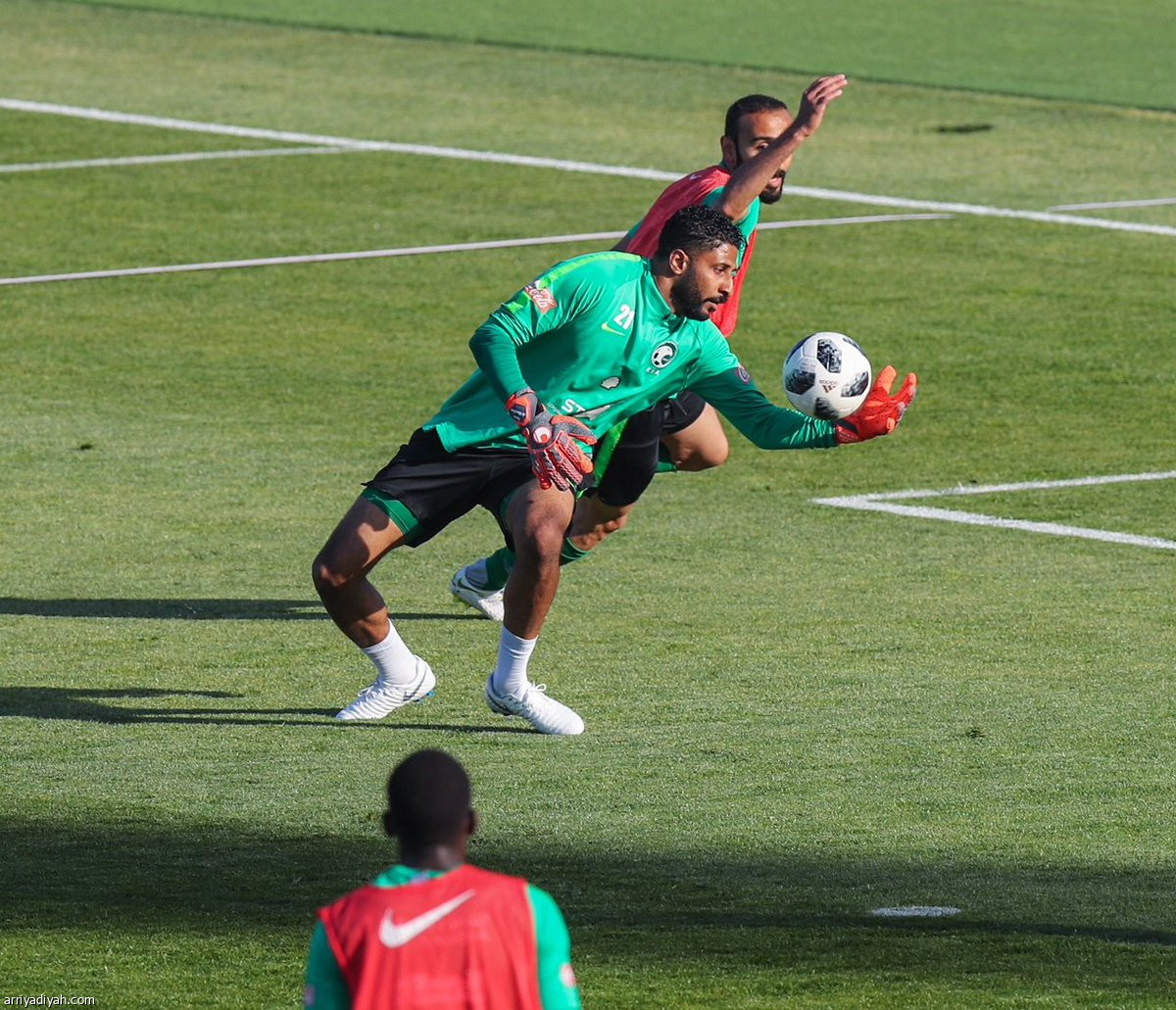 الأخضر  في سان بطرسبرج