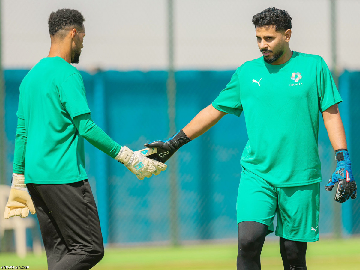 أزيبي في نيوم