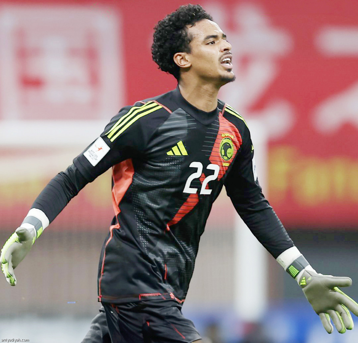 الصقور إلى النهائي