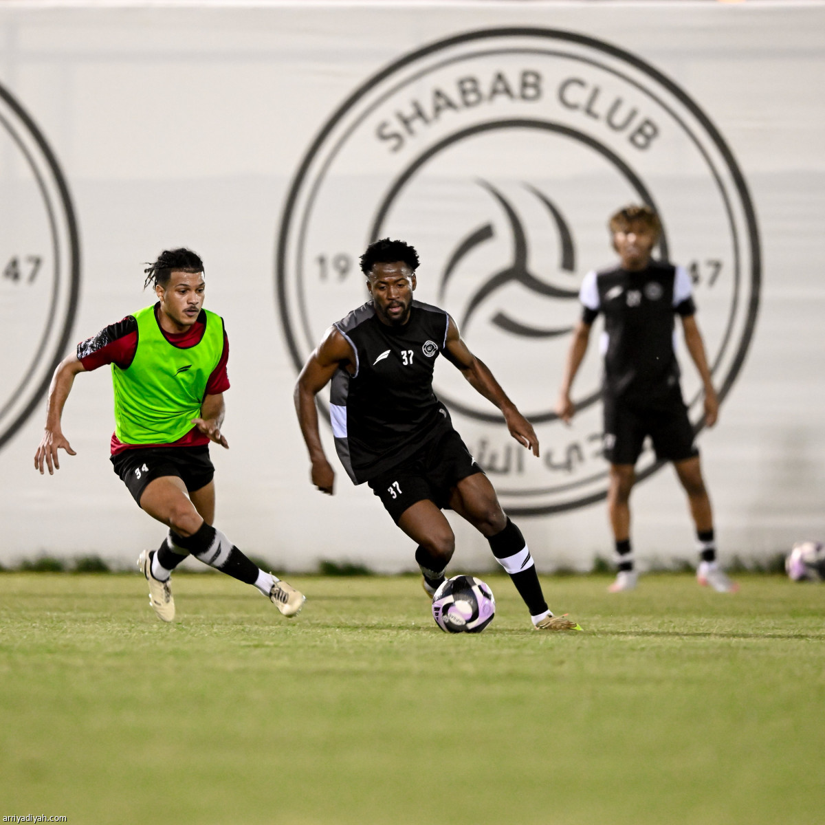 «الليوث» يناورون