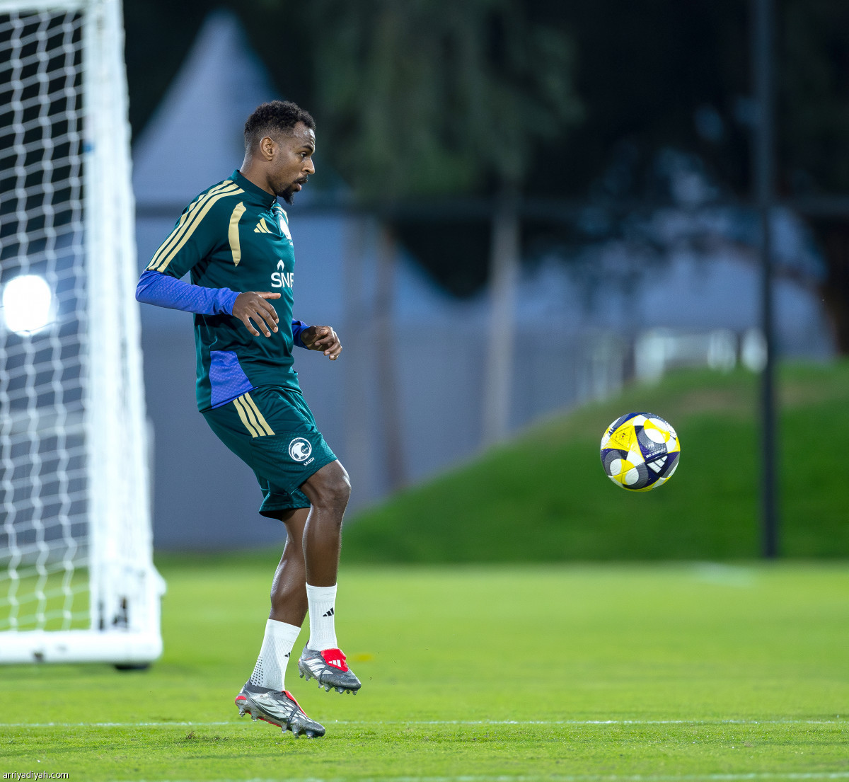 الأخضر يتأهب